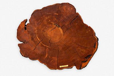 Formafantasma: Cambio – Baum, Holz, Mensch