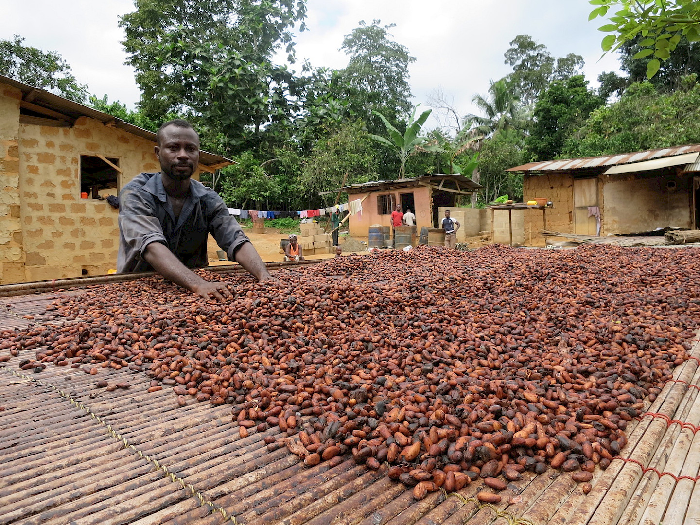 Bittersüsse Schokolade – Der Weg des Kakaos