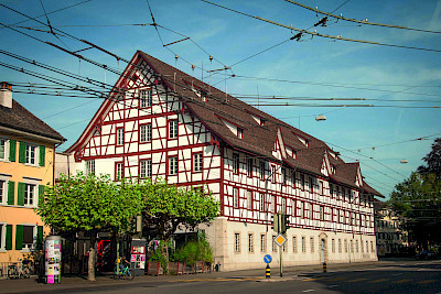 Kunterbunte, kugelrunde Pudelhunde