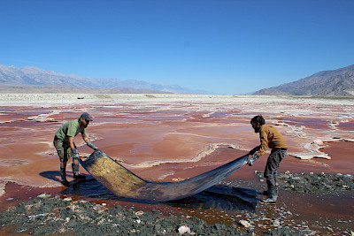 Mining Photography. Der ökologische Fussabdruck der Bildproduktion