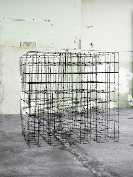 Ausstellung «Stellung beziehen» von Käthe Kollwitz und Mona Hatoum im Kunsthaus Zürich