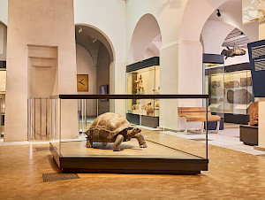 24+20+Neuero%cc%88ffnung+NMZ+Dauerausstellung+1632+B+Web