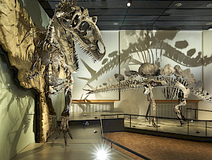 Dinosaurier+NMZ+10March2024+M2400748+Edit