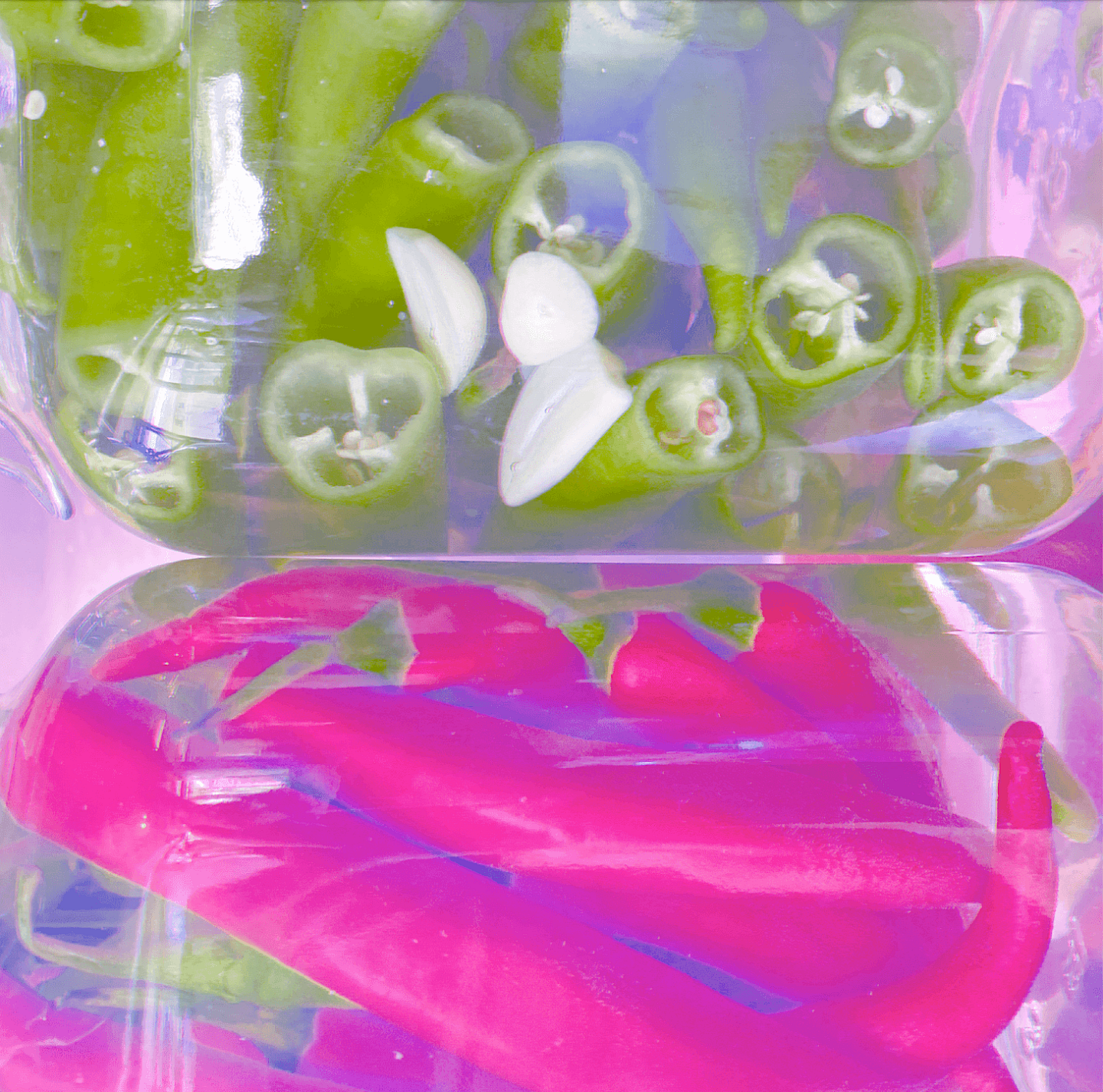 ZW-Workshop: Lacto-fermentation – a creativity enhancer for chefs