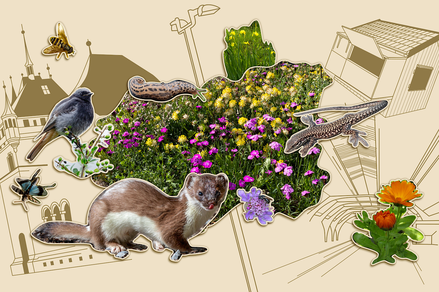 Interconnected nature – a liveable city