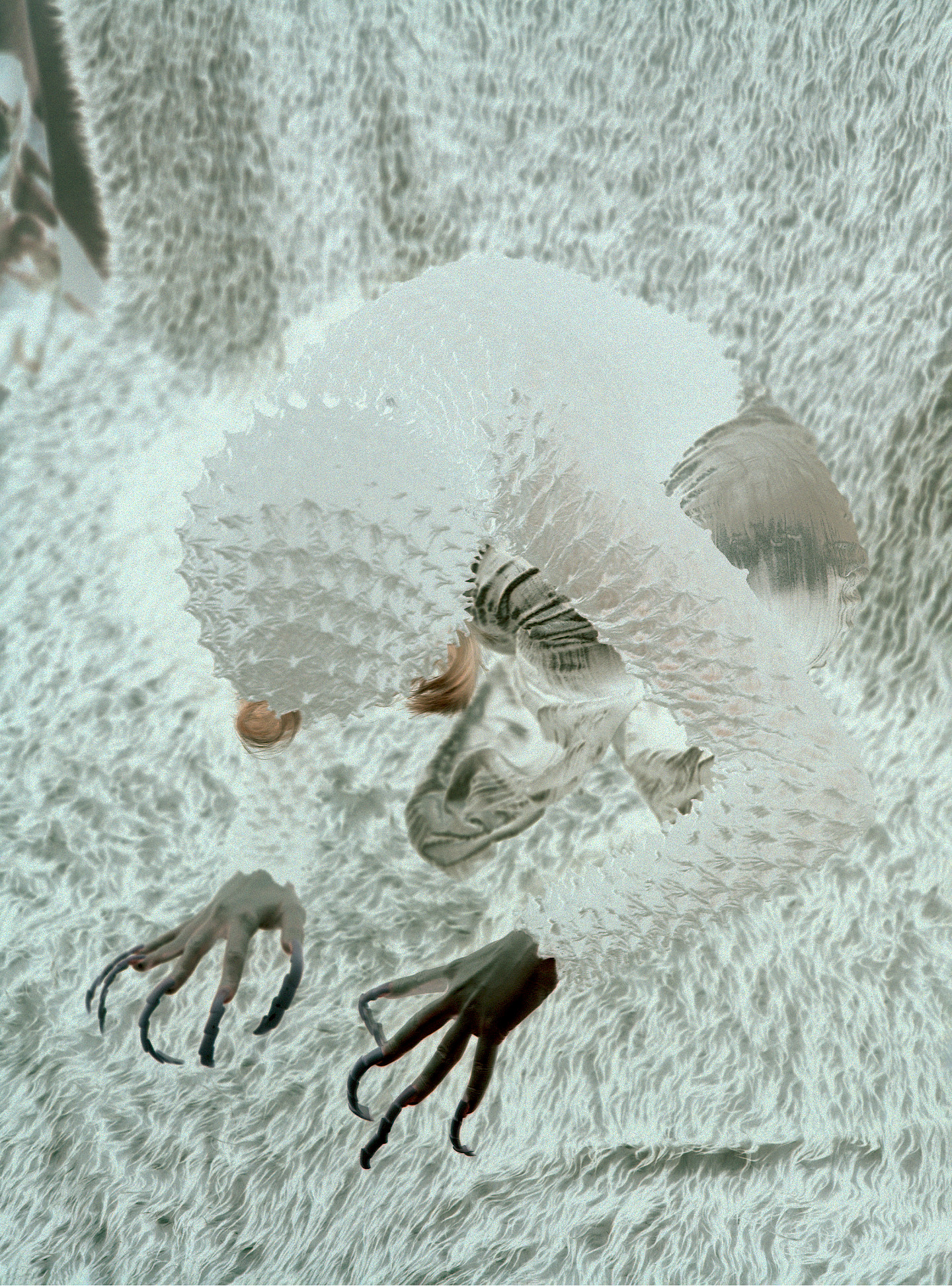 Agate Tūna, Untitled, 2025, from the series Voltentity © Agate Tūna