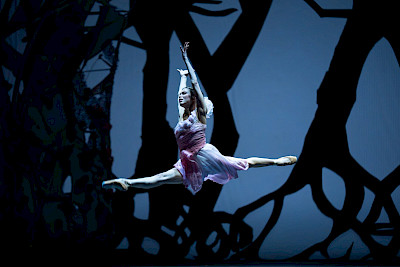 Ballett mit Orchester: Dornröschen
