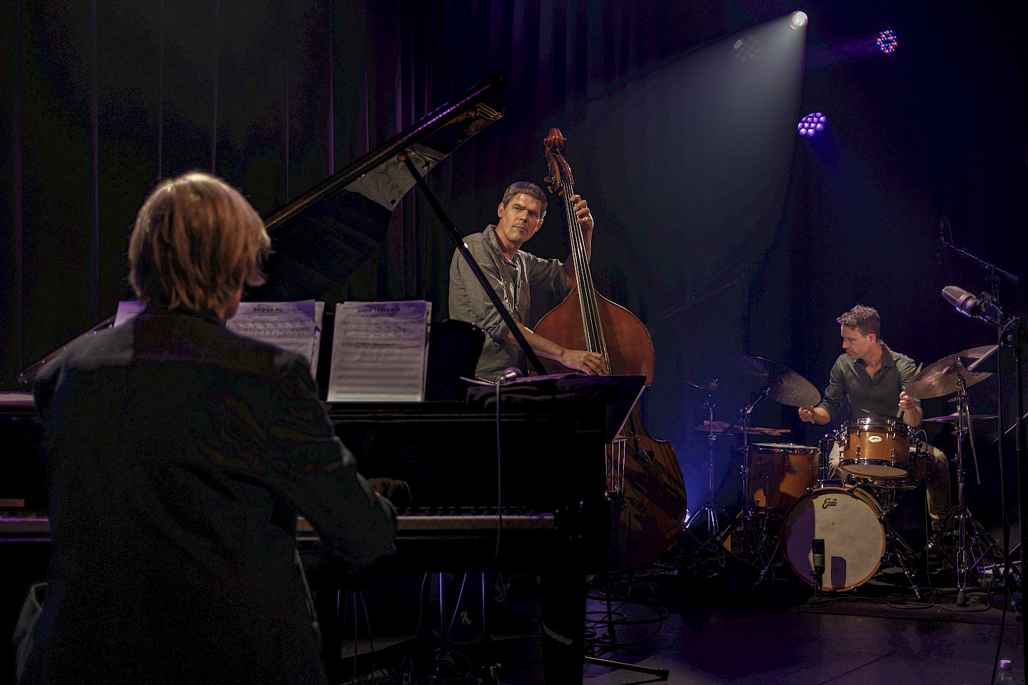 Klaus Koenig Jazz Live Trio