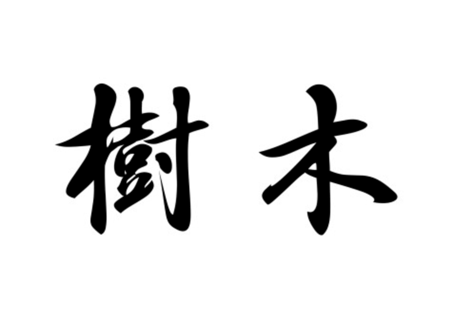 Jumako – Music and Trees