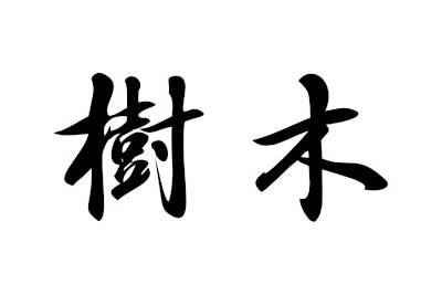 Jumako – Music and Trees