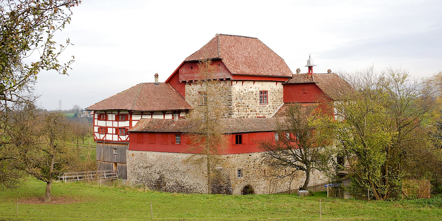 The history of early castle construction