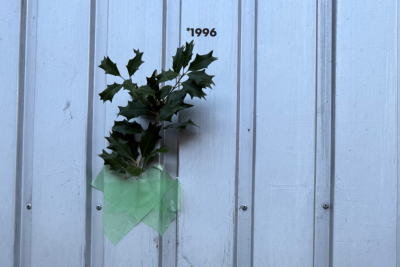 30 years of domizil