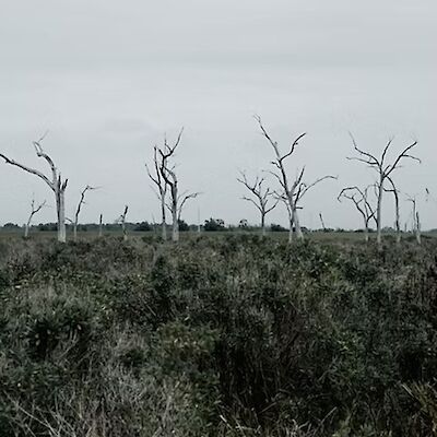 Eroding Grounds #2 GHOSTSCAPES