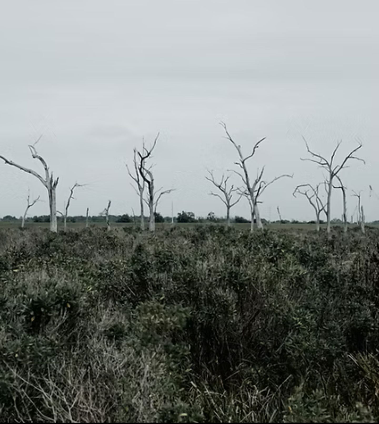 Podium Eroding Grounds #2 GHOSTSCAPES