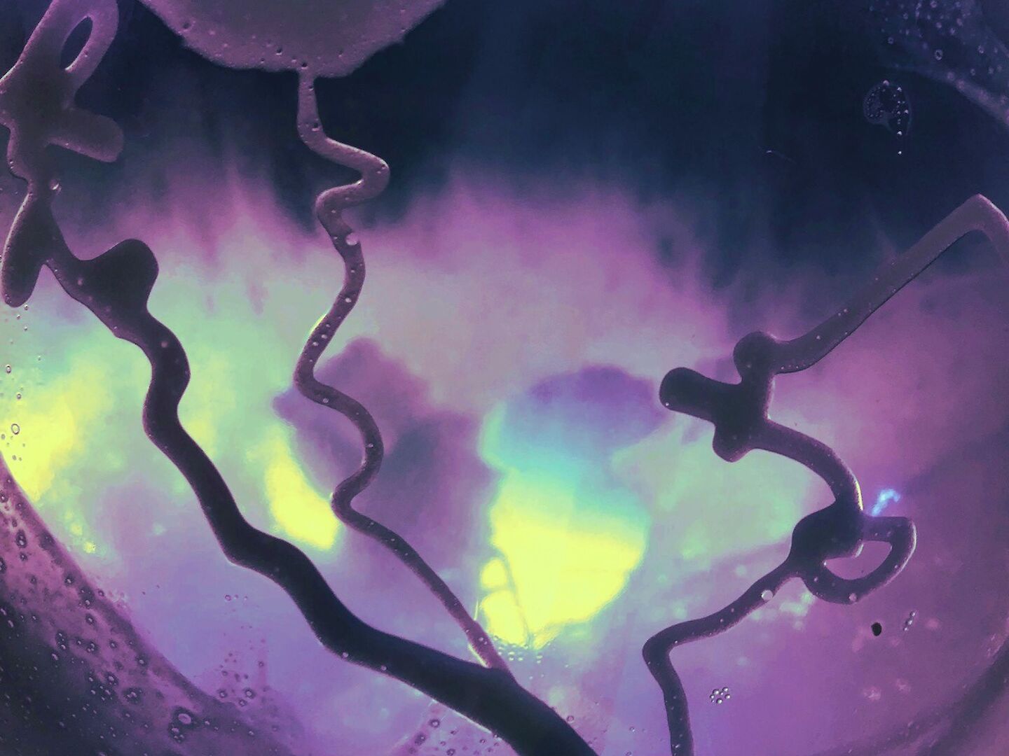 HOSTING THE MULTIVERSE: NETWORKING