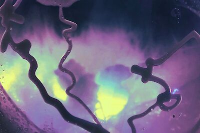 HOSTING THE MULTIVERSE: NETWORKING