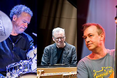 Unbelievable! | Concert: Chris Wiesendanger (piano), John Edwards (bass), Mark Sanders (drums)​